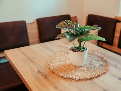 Apartment Apartment "Asitz" 2 Schlafräume - Dusche, WC - Features photo 22