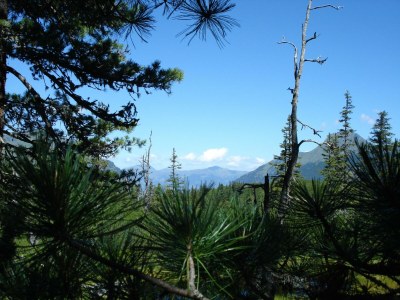 Apartment Birnhorn/2 Schlafräume/Dusche, WC (Nr. 9) - Outdoor photo 29