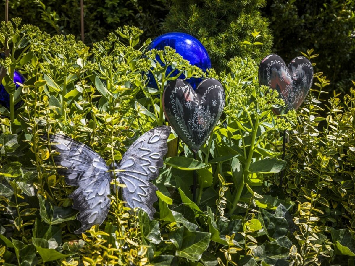 Holiday room Vierbettzimmer mit Dusche, WC - Outdoor photo 5
