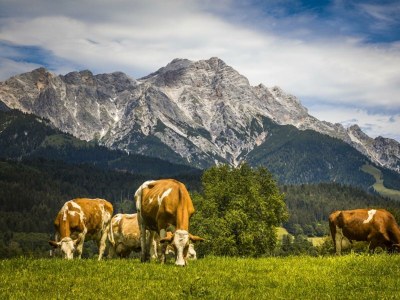 Holiday room Vierbettzimmer mit Dusche, WC - Outdoor photo 7