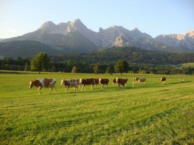 Holiday room Vierbettzimmer mit Dusche, WC - Outdoor photo 9