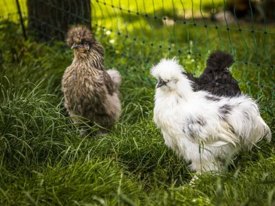 Holiday room Vierbettzimmer mit Dusche, WC - Outdoor photo 14