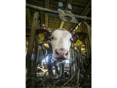 Holiday room Vierbettzimmer mit Dusche, WC - Outdoor photo 27