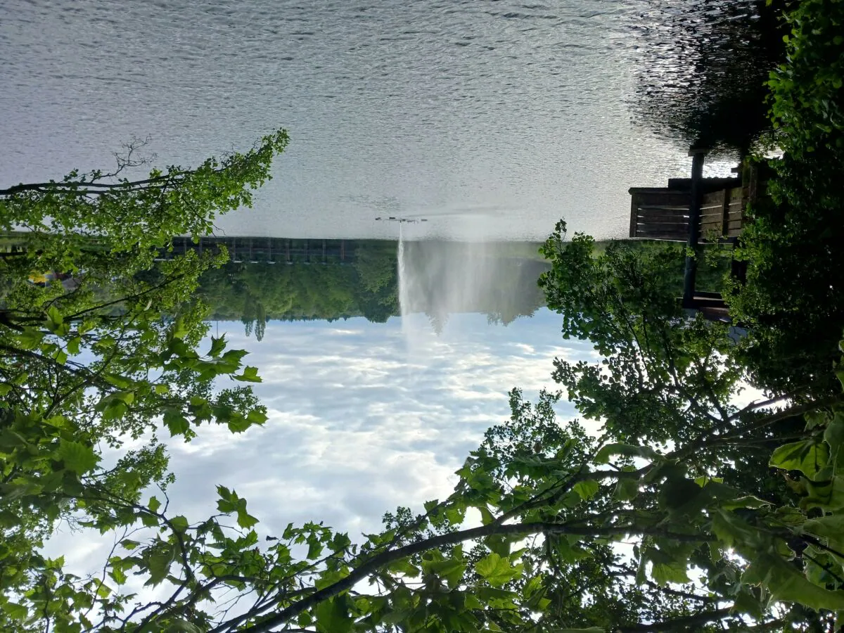 Apartment Ferienwohnung Susanna