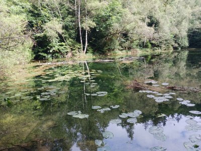 Apartment Ferienwohnung Susanna - Outdoor photo 10