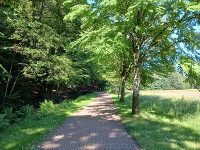 Apartment Ferienwohnung Susanna - Outdoor photo 11