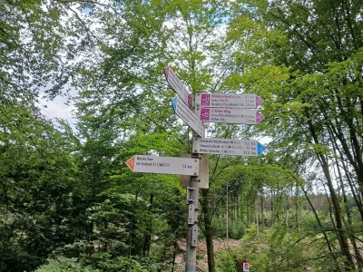 Apartment Ferienwohnung Susanna - Outdoor photo 12