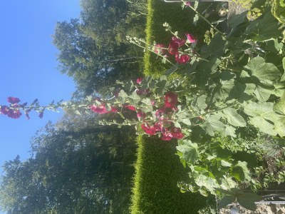 Apartment Appartement/Fewo, Bad, WC - Outdoor photo 11