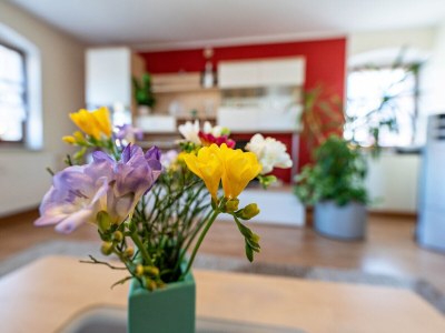 Holiday apartment Pillnitzer Schlossblick - Features photo 13