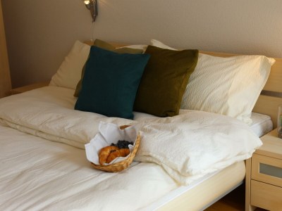 Apartment 2-Bettwohnung Edelweiss A 2 in Saas-Fee - Apartment