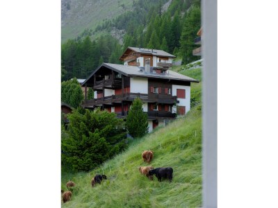 Apartment Appartement/Fewo - Outdoor photo 82