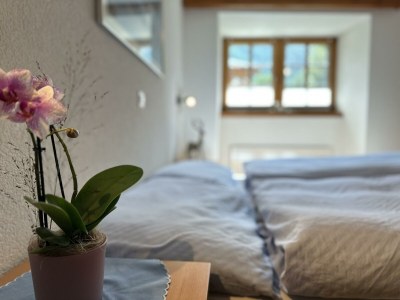 Apartment Appartement/Fewo - Outdoor photo 27