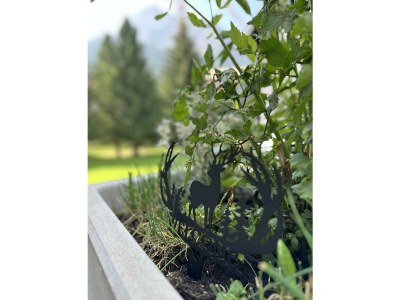 Apartment Appartement/Fewo - Outdoor photo 37