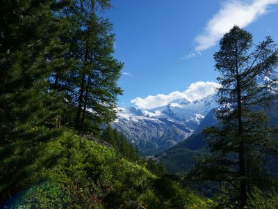 Apartment Appartement/Fewo - Outdoor photo 4