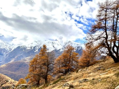 Apartment 4-Bettwohnung "Distel" - Features photo 18
