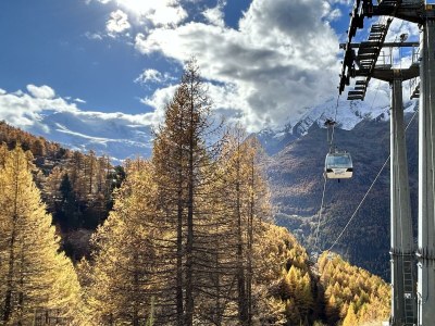 Apartment 4-Bettwohnung "Distel" - Features photo 19