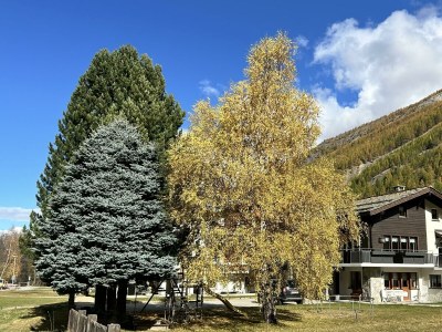 Apartment 4-Bettwohnung "Distel" - Features photo 21