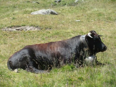 Apartment Studio - Outdoor photo 10