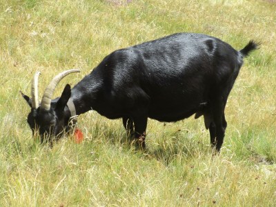 Apartment Studio - Outdoor photo 11