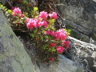Apartment Studio - Outdoor photo 13