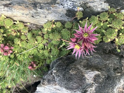 Apartment Studio - Outdoor photo 19