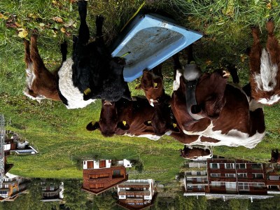 Apartment Studio - Outdoor photo 40