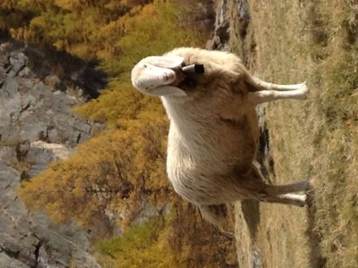 Apartment Studio - Outdoor photo 46