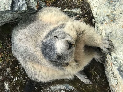 Apartment Studio - Outdoor photo 59