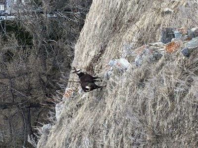 Apartment Bettina 8 - Outdoor photo 30