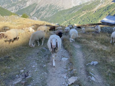 Apartment Bettina 8 - Outdoor photo 32