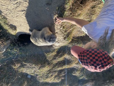 Apartment Bettina 8 - Outdoor photo 33