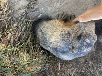 Apartment Bettina 8 - Outdoor photo 34