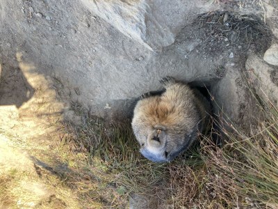 Apartment Bettina 8 - Outdoor photo 36