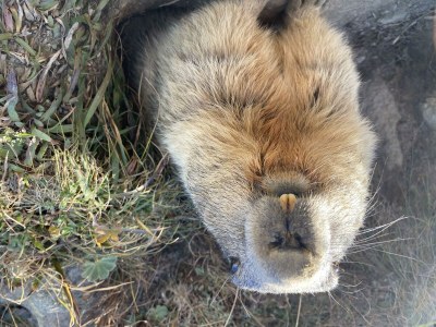 Apartment Bettina 8 - Outdoor photo 37