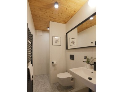 Apartment Appartement für 3 Pers., Bad mit WC, 1 Schlafzimmer - Features photo 15