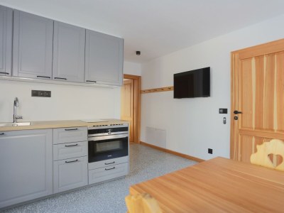 Apartment Appartement für 3 Pers., Bad mit WC, 1 Schlafzimmer - Features photo 16