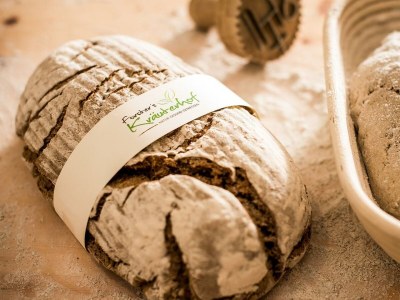 Holiday room Comfort Suite Serles Frühstück 1-3 NÄ - Outdoor photo 33