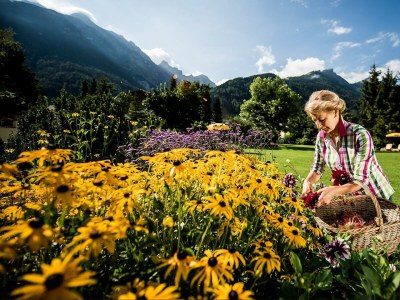 Holiday room Comfort Suite Serles Frühstück 1-3 NÄ - Outdoor photo 74