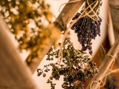 Holiday room Comfort Suite Serles Frühstück 1-3 NÄ - Outdoor photo 75