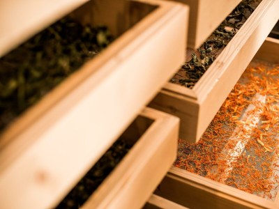 Holiday room Comfort Suite Serles Frühstück 1-3 NÄ - Outdoor photo 80