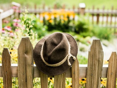 Holiday room Comfort Suite Serles Frühstück 1-3 NÄ - Outdoor photo 86