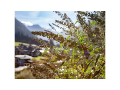 Apartment Ferienwohnung Klenkes - Outdoor photo 9