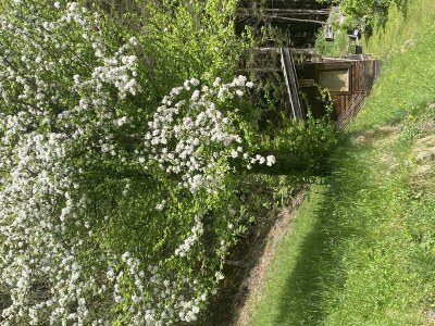 Apartment Ferienwohnung Klenkes - Outdoor photo 11