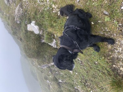 Apartment Ferienwohnung Klenkes - Outdoor photo 15