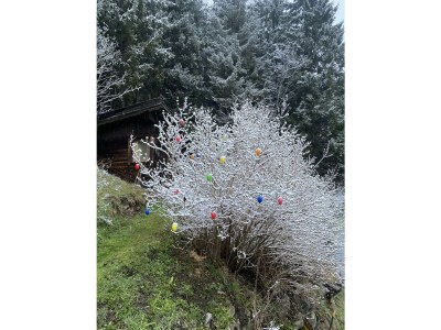 Apartment Ferienwohnung Klenkes - Outdoor photo 18