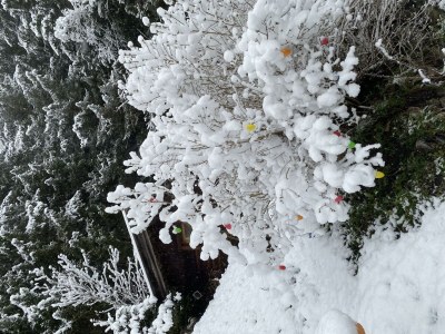 Apartment Ferienwohnung Klenkes - Outdoor photo 19