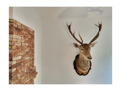 Holiday room Doppelzimmer 8 - Outdoor photo 17