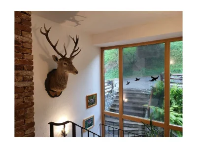 Holiday room Doppelzimmer 8 - Outdoor photo 18