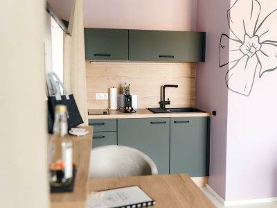 Holiday room Appartement, Küche, Dusche/WC, Terrasse, Gartenblick in Burgau - Holiday room