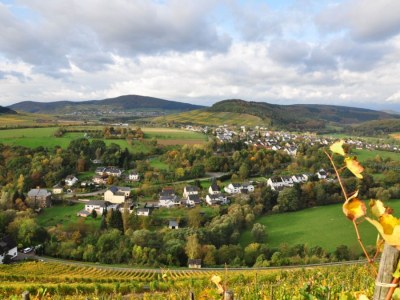 Holiday apartment Licht - Environment photo 12